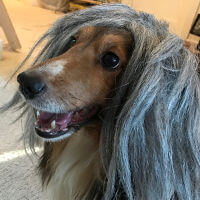 Elsie Kugel